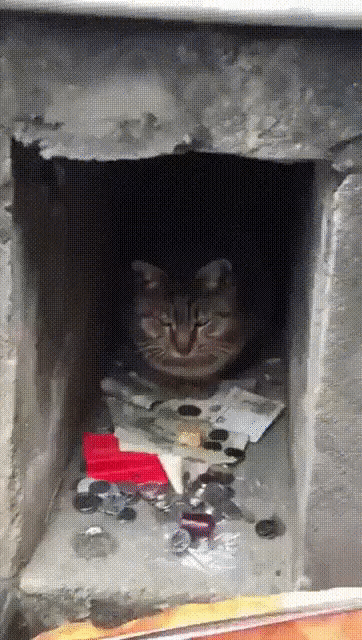 Брать нельзя, можно только класть