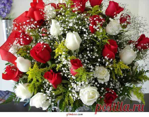 Боннский суп - суперсжигатель жира..