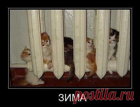 ОСТРОУМНЫЕ