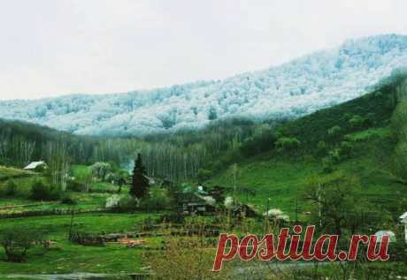 Удивительные фото, где нет ни капли обработки / Приколы