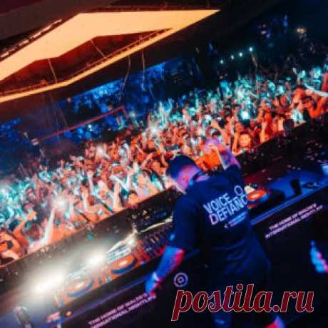 Will Taylor (UK) FOREIGN LANGUAGE CHART - HypeDJ.top