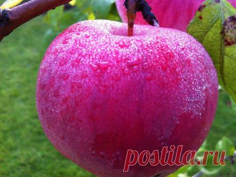 (+1) тема - Осенний бисер | ЛЮБИМЫЕ ФОТО