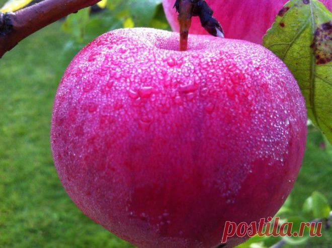 (+1) тема - Осенний бисер | ЛЮБИМЫЕ ФОТО