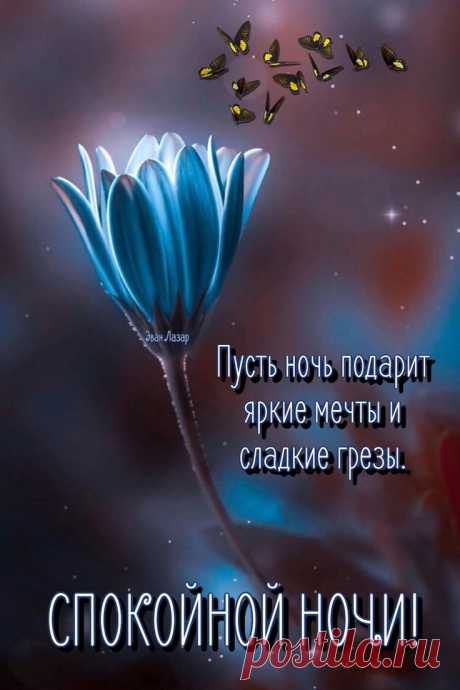 3D-открытки: виды и особенности
Основные типы 3D-открыток

    Открытки с объёмными элементами

    Высечка — вырезанные фигуры, поднимающиеся над поверхностью

    Поп-ап — элементы, которые раскрываются при открытии

    Текстурные вставки — рельефные узоры и рисунки