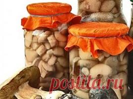 ГРИБНАЯ КУХНЯ | ГрибнИка.рУ - Part 2