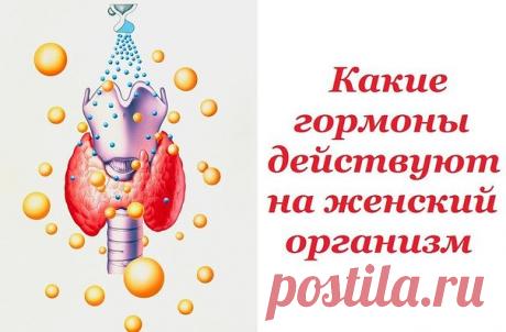 Какие гормоны действуют на женский организм

Практически во всем, что с вами происходит — от легкого «приуныл» до депрессии, от задорного настроения до оргазма, виновата химия.

И именно — гормоны, которые вырабатывает ваш организм.

Научитесь хоть немного держать их в узде, или наоборот — скакать галопом.

Надпочечники

АНДРОГЕНЫ: мужские половые гормоны

У женщин они тоже вырабатываются, в основном – корой надпочечников. Они отвечают за все мужские качества: способность ...