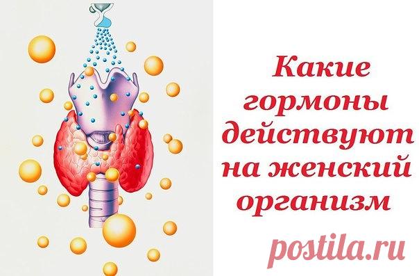 Какие гормоны действуют на женский организм

Практически во всем, что с вами происходит — от легкого «приуныл» до депрессии, от задорного настроения до оргазма, виновата химия.

И именно — гормоны, которые вырабатывает ваш организм.

Научитесь хоть немного держать их в узде, или наоборот — скакать галопом.

Надпочечники

АНДРОГЕНЫ: мужские половые гормоны

У женщин они тоже вырабатываются, в основном – корой надпочечников. Они отвечают за все мужские качества: способность ...