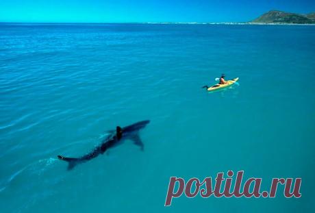 Фотографии которые “взорвали” интернет | Развлекательный сайт хорошего настроения