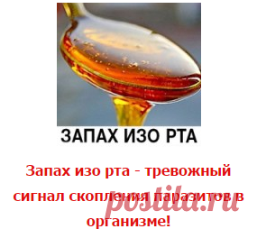 НАРОДНЫЕ РЕЦЕПТЫ