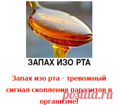 НАРОДНЫЕ РЕЦЕПТЫ