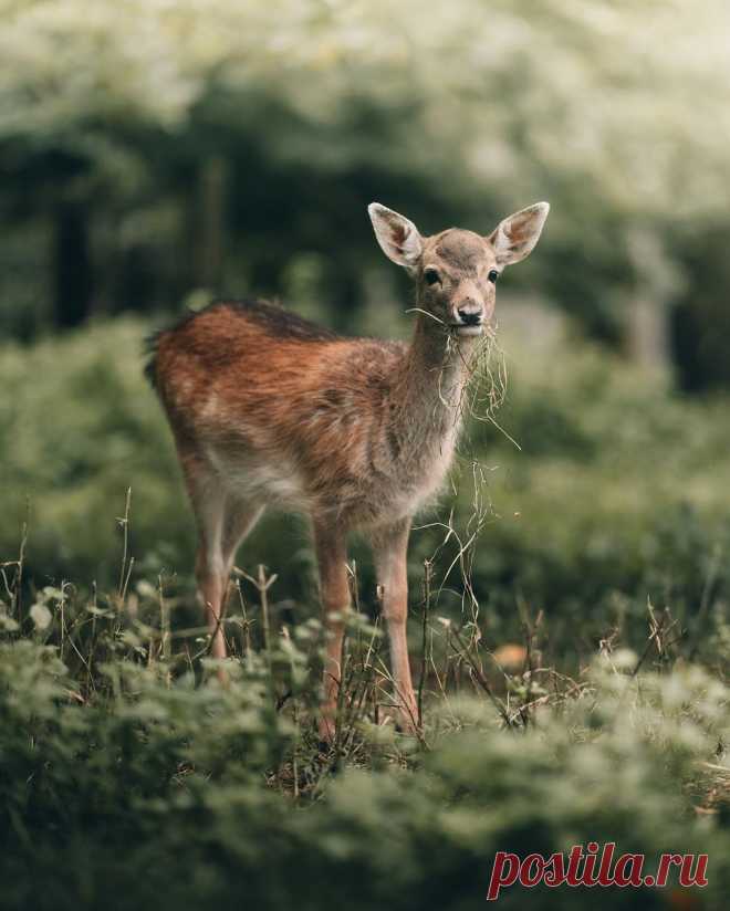 i (1080×1349)