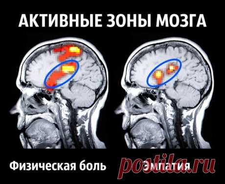 Как стать счастливым раз и навсегда