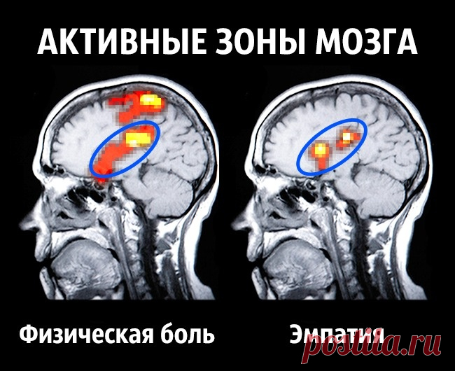 Как стать счастливым раз и навсегда