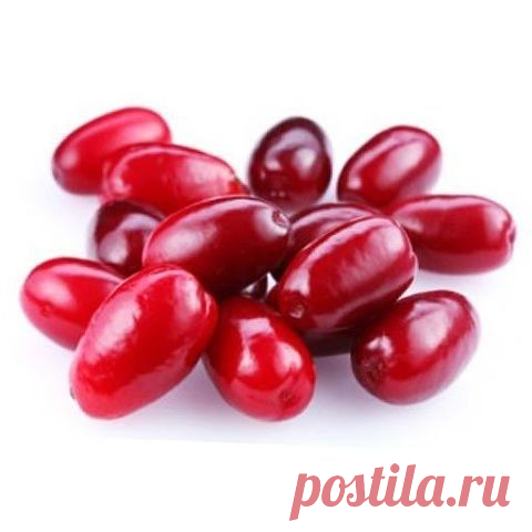 Лечимся кизилом