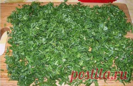 БОТВА МОРКОВИ
Морковная ботва не менее полезна, чем корнеплод, - и для зрения, и для печени и т.д.
А всего-то и надо, что помыть ботву, порезать, как петрушку, высушить и добавлять по возможности во все первые блюда перед концом варки. На вкусе это никак не отразится, а польза несомненная.
Можно заваривать, как чай и пить - но это на любителя. А вот ботву (сочную, зелёную) от свёклы можно мелко порезать и заморозить. Зимой добавьте горсточку в щи, борщ или сварите лёгкий с...