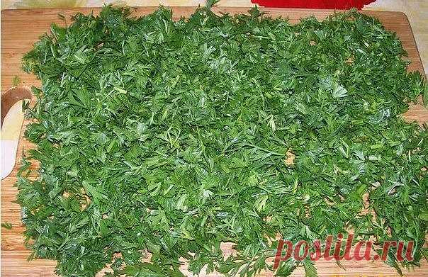 БОТВА МОРКОВИ
Морковная ботва не менее полезна, чем корнеплод, - и для зрения, и для печени и т.д.
А всего-то и надо, что помыть ботву, порезать, как петрушку, высушить и добавлять по возможности во все первые блюда перед концом варки. На вкусе это никак не отразится, а польза несомненная.
Можно заваривать, как чай и пить - но это на любителя. А вот ботву (сочную, зелёную) от свёклы можно мелко порезать и заморозить. Зимой добавьте горсточку в щи, борщ или сварите лёгкий с...