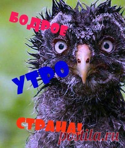 Лирическое настроение