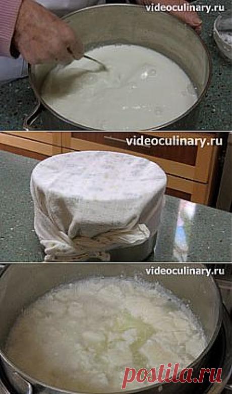 Домашний творог - Видеокулинария.рф - видео-рецепты Бабушки Эммы | Видеокулинария.рф - видео-рецепты Бабушки Эммы