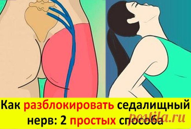 Разблокируй седалищный нерв: делай два простых упражнения Седалищный нерв является самым крупным из всех нервов нашего тела. Начинаясь в области пояснично-крестцового сплетения, его волокна проходят через всю ногу, обеспечивая ее иннервацию.


В связи с этим…