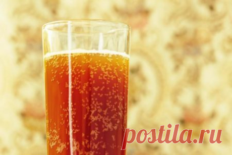 Квас из цикория в домашних условиях рецепт с сухими дрожжами