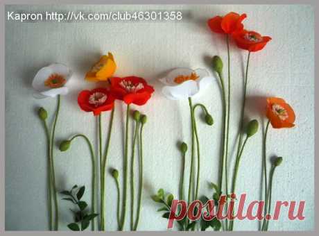 Цветы из капрона. Маки. Мастер-класс