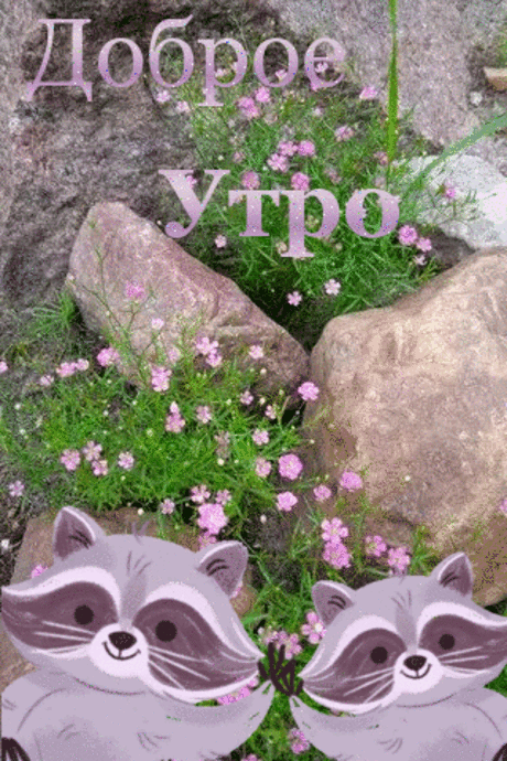 Доброе  утро