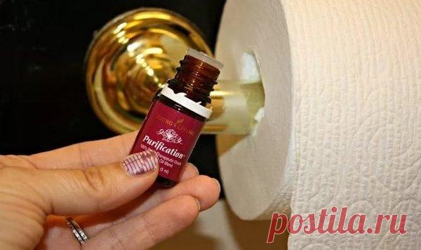 Освежитель воздуха для дома своими руками. Дел на две минуты. Зато без химии  😌
Каждый раз, когда мы видим освежитель воздуха в магазине, то думаем, что это очень дорого и не экономично. Но если сделать такой освежитель самостоятельно, то вы убедитесь, что он не только не стоит дорого, но и способен сэкономить ваши деньги.
Из чего состоит освежитель?
Мы взяли для освежителя 3 основных компонента:
1. Гигиенические салфетки или туалетная бумага.
2. Лимонная кислота.
3. Вода.
Что делают салфетки?…