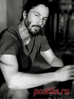 Я ненавижу мир, где мужья одевают своих жён как проституток, выставляя на показ все то, что должно быть сокровенным. Где нет понятия чести и достоинства. Где женщины не хотят детей, а мужчины не хотят семьи. Где сосунки считают себя успешными за рулем отцовских машин, а любой, кто имеет хоть немного власти, пытается доказать вам, что вы ничтожество. Где люди лицемерно заявляют, что верят в Бога, с рюмкой алкоголя в руках и с отсутствием малейшего понимания своей религии.
Где понятие ревности сч