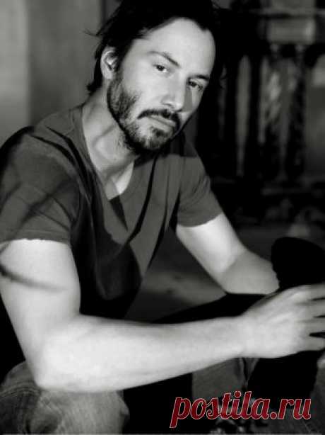 Я ненавижу мир, где мужья одевают своих жён как проституток, выставляя на показ все то, что должно быть сокровенным. Где нет понятия чести и достоинства. Где женщины не хотят детей, а мужчины не хотят семьи. Где сосунки считают себя успешными за рулем отцовских машин, а любой, кто имеет хоть немного власти, пытается доказать вам, что вы ничтожество. Где люди лицемерно заявляют, что верят в Бога, с рюмкой алкоголя в руках и с отсутствием малейшего понимания своей религии.
Где понятие ревности сч