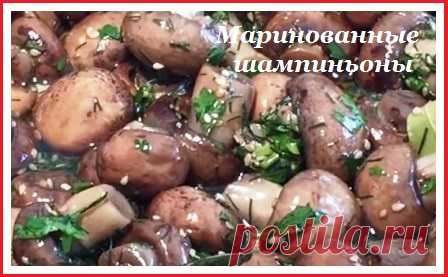 Маринованные шампиньоны без варки | Все ладно