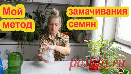 Как замачивать семена для посева | Сад Мечты с Ольгой Вороновой | Дзен