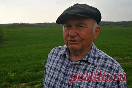 Юрий Лужков не захотел паразитировать в Лондоне и вернулся на родину. Где он сейчас | Радистка Кэт | Яндекс Дзен