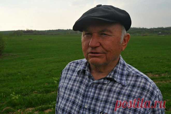 Юрий Лужков не захотел паразитировать в Лондоне и вернулся на родину. Где он сейчас | Радистка Кэт | Яндекс Дзен