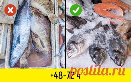 10 секретных приемов, как хранить свежую рыбу