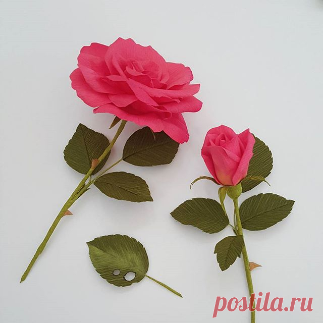After much feedback, I've settled on rose & bud for the first kit.  Sending the 