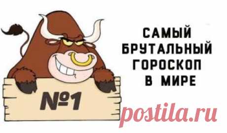 Самый смешной и брутальный гороскоп для всех 12 знаков Зодиака Самый смешной и брутальный гороскоп для всех 12 знаков Зодиака.Людям без чувства юмора не читать!Некоторые из них выглядят очень правдиво