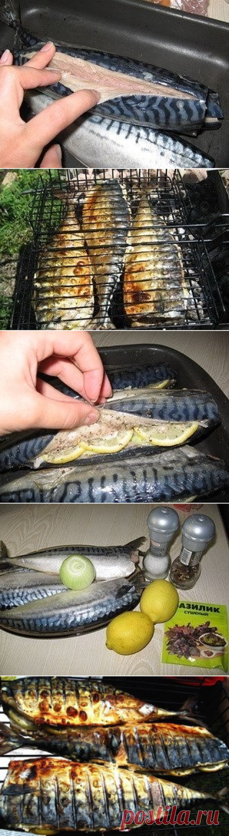 скумбрия на углях