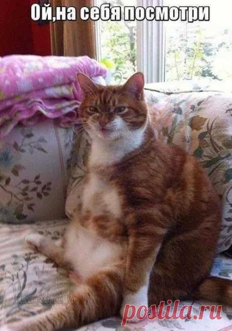 ***
