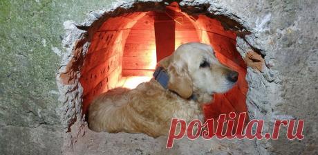 Будка-землянка для собаки Осенью прошлого, 2019 года мастер приютил бездомную суку. Эта собака старый золотистый ретривер и плохо переносит холод. У него уже был кобель и для него он построил будку-землянку, для новой собаки он решил построить будку по соседству, по такой же технологии. Инструменты и