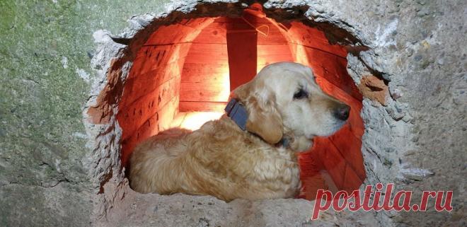 Будка-землянка для собаки Осенью прошлого, 2019 года мастер приютил бездомную суку. Эта собака старый золотистый ретривер и плохо переносит холод. У него уже был кобель и для него он построил будку-землянку, для новой собаки он решил построить будку по соседству, по такой же технологии. Инструменты и