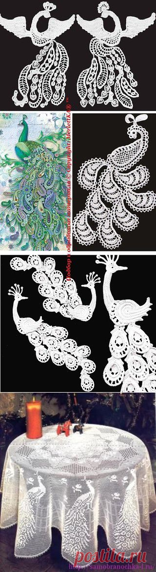 Вязание крючком - Жар - птицы в ирландском кружеве