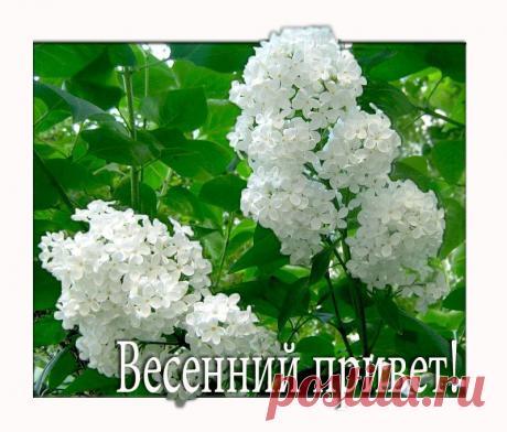 0_9bc5e_c448b2b8_XL (800×681)