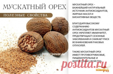 Мускатный орех полезные свойства