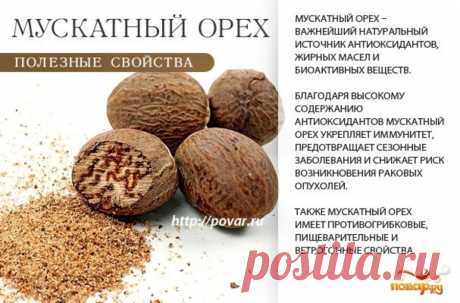 Мускатный орех полезные свойства