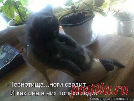˙·•●♥๑ஐ НАДЕЖДА САМОЙЛОВА·•●♥๑ஐ
Туфли на шпильке странный предмет... В магазине удобно,на улице нет...