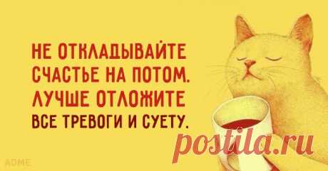 Солнечные открытки с правильным отношением к жизни