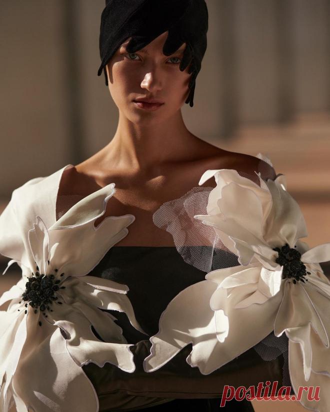 5T58p3lcThY.jpg (1080×1350)