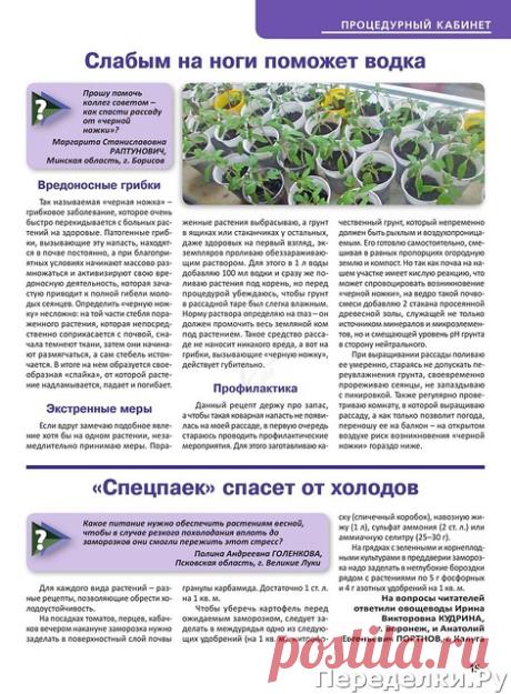 Сад, огород - кормилец и лекарь № 6 март 2020 | ПЕРЕДЕЛКИ.рУПЕРЕДЕЛКИ.рУ
