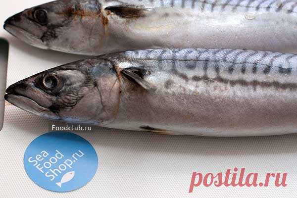 Вкуснейший рецепт приготовления скумбрии в духовке