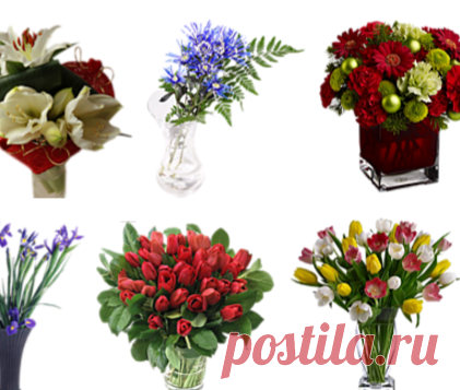 Цветы в вазах ,вазы в png